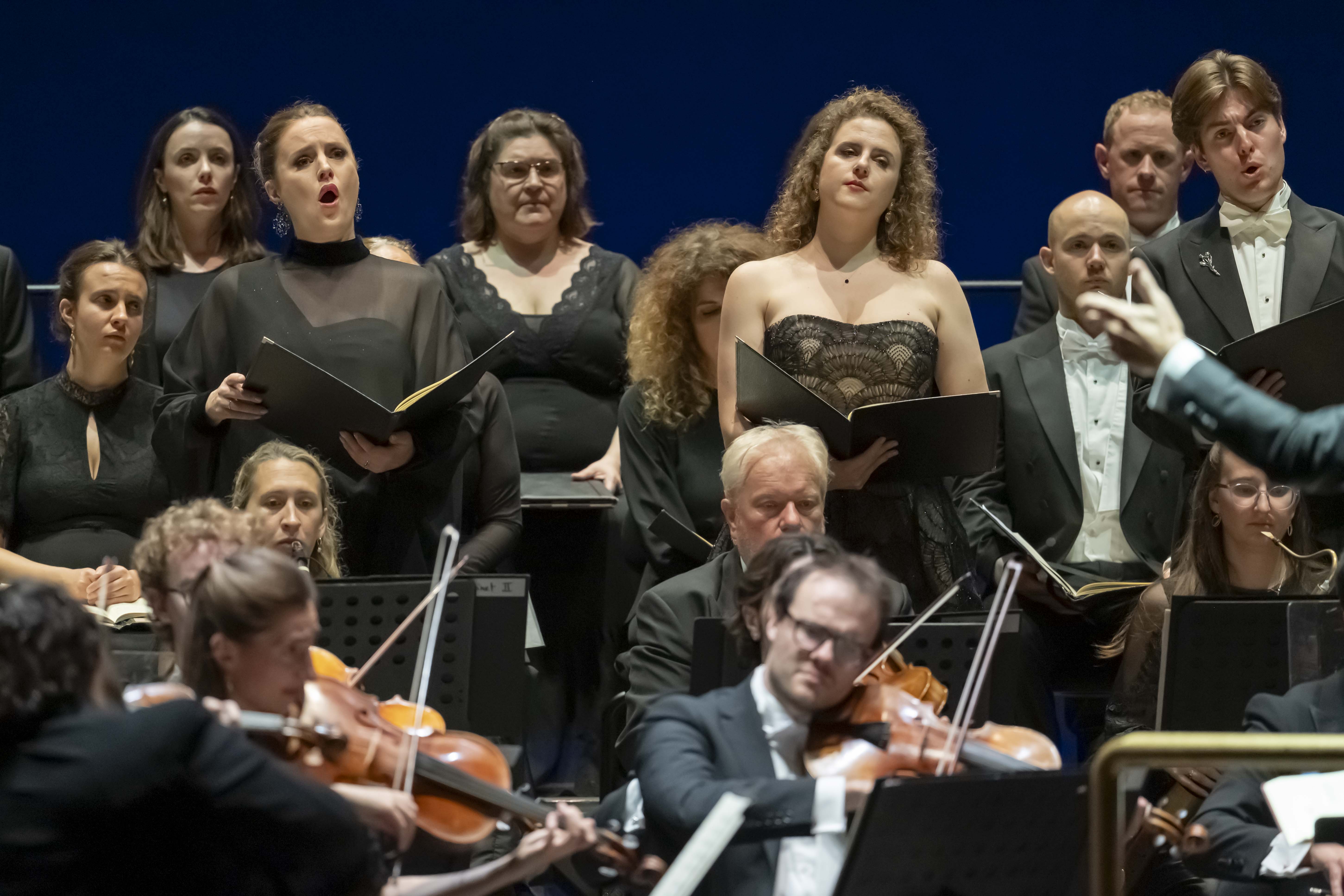Sagra_Malatestiana_Monteverdi_Choir_-_Orchestre_FZN5959.jpg
